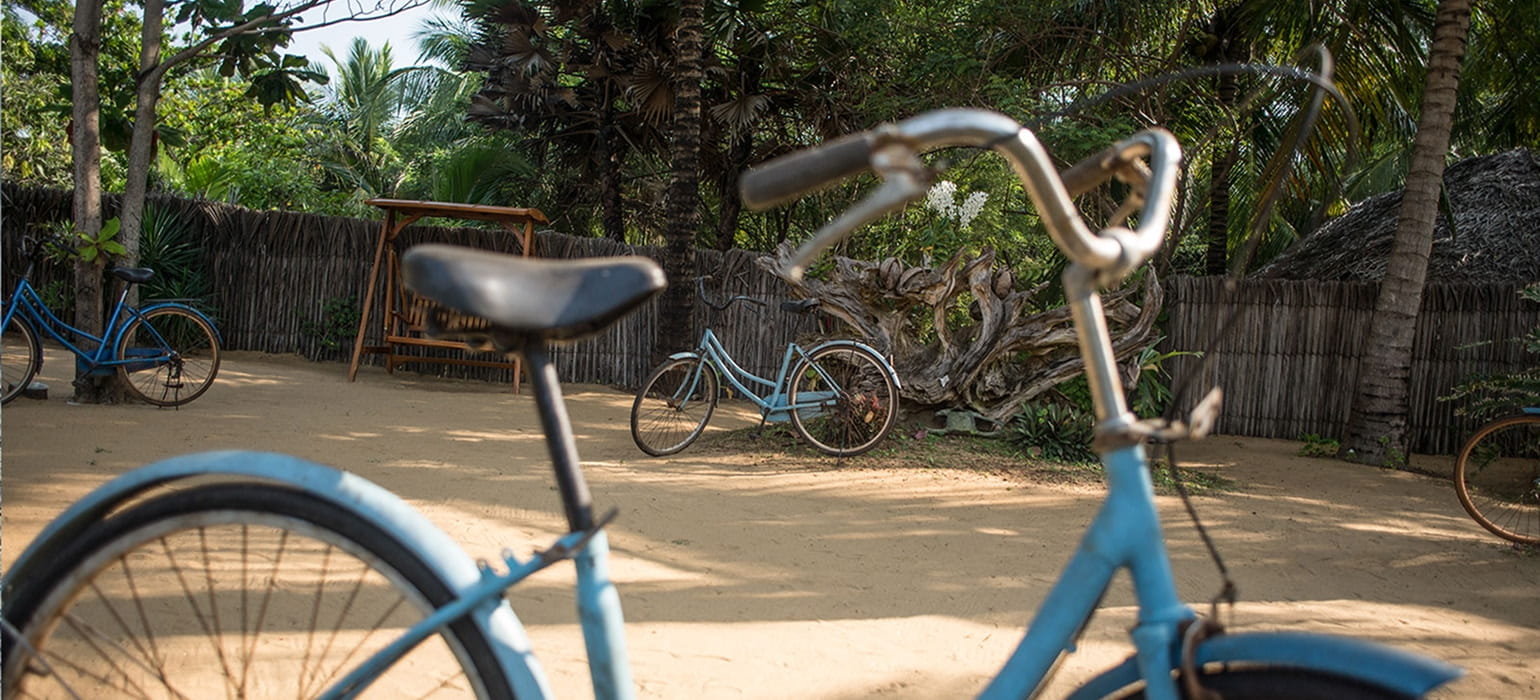 Cycling photo 2