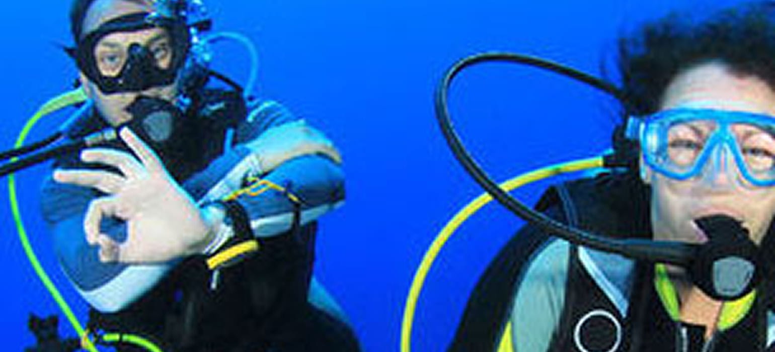 Snorkelling & Scuba Diving photo 2