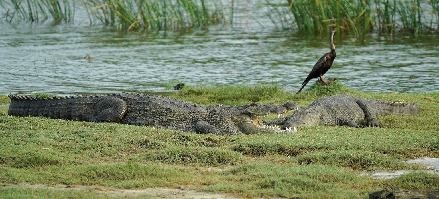 Wilpattu National Park photo 4
