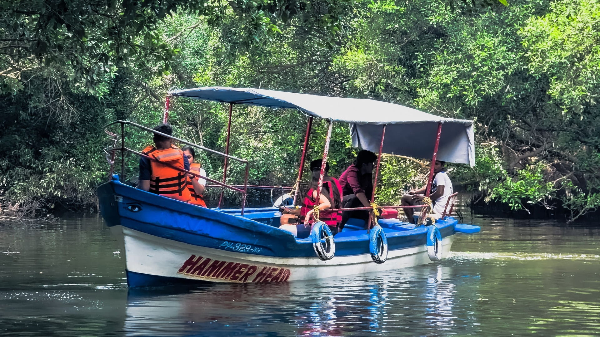 Lagoon & Mangrove Boat Safari