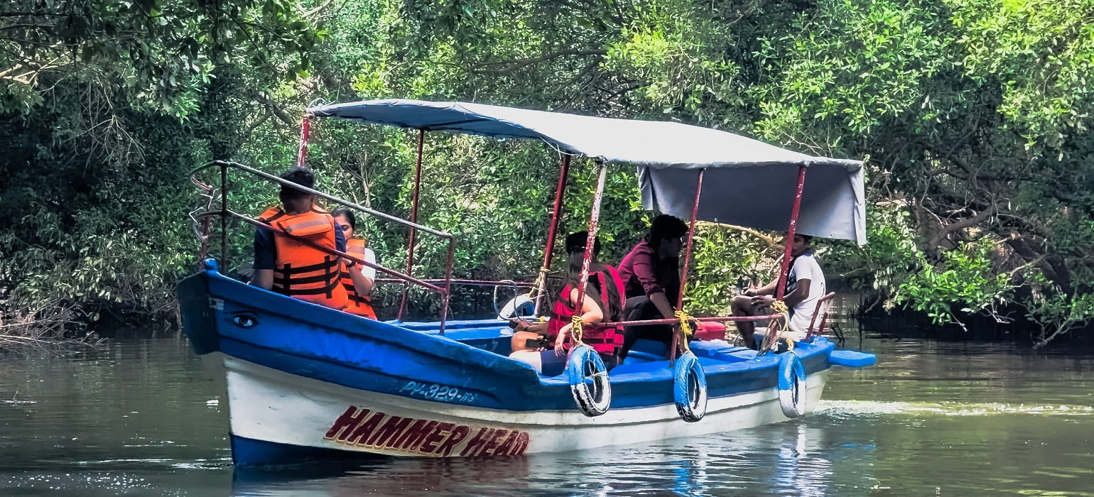 Lagoon & Mangrove Boat Safari photo 3