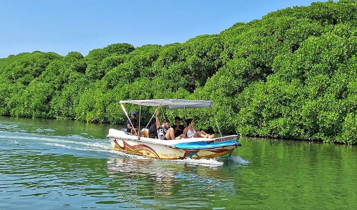 Lagoon & Mangrove Escape