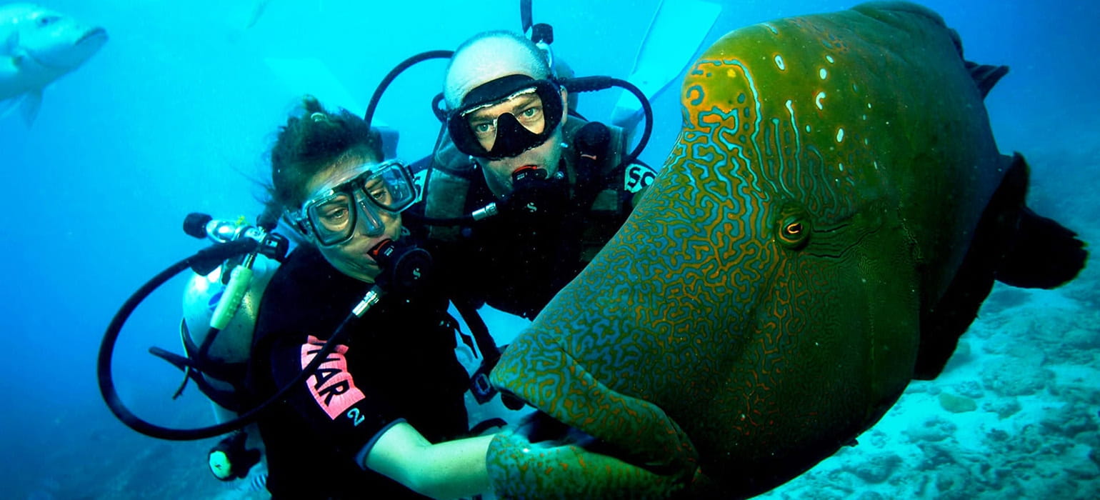 Snorkelling & Scuba Diving photo 1