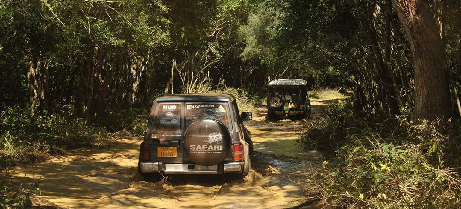 Wilpattu National Park photo 2